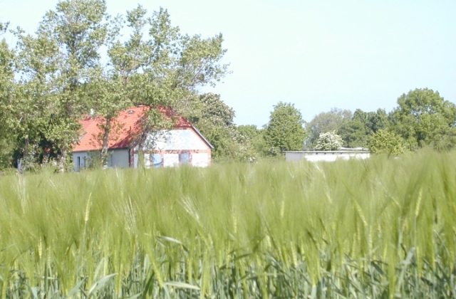 Ferienwohnungen Seedorf Ferienwohnungen Seedorf