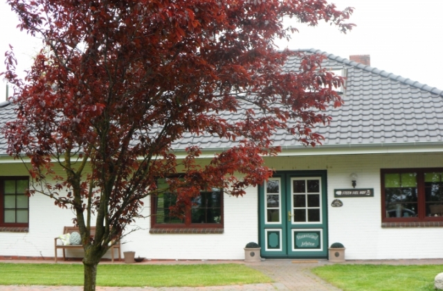 Steensielhof Steensielhof