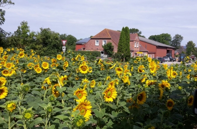 Ferienhof Rathmann Ferienhof Rathmann